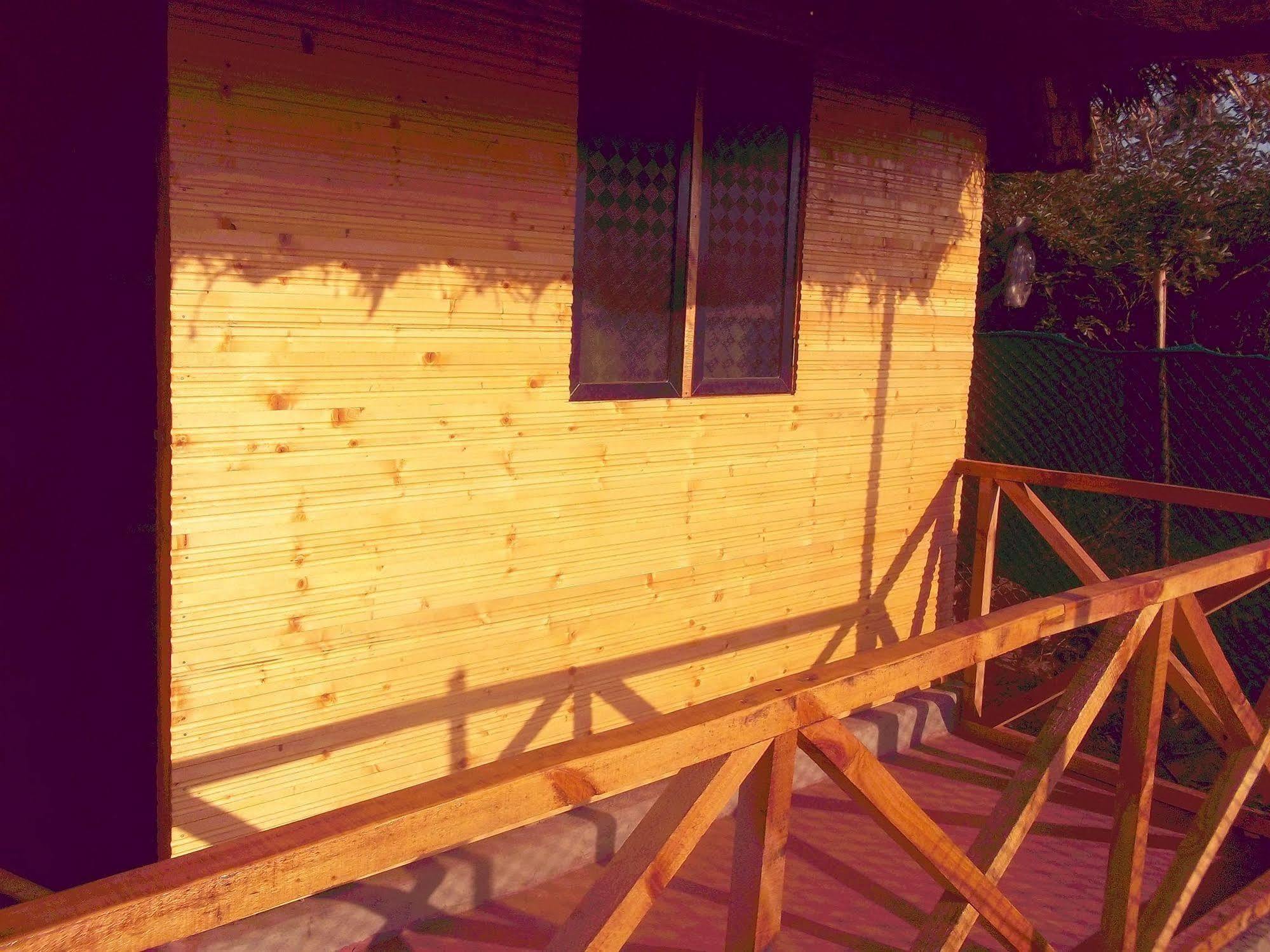 Tivai Beach Cottages Calangute Extérieur photo